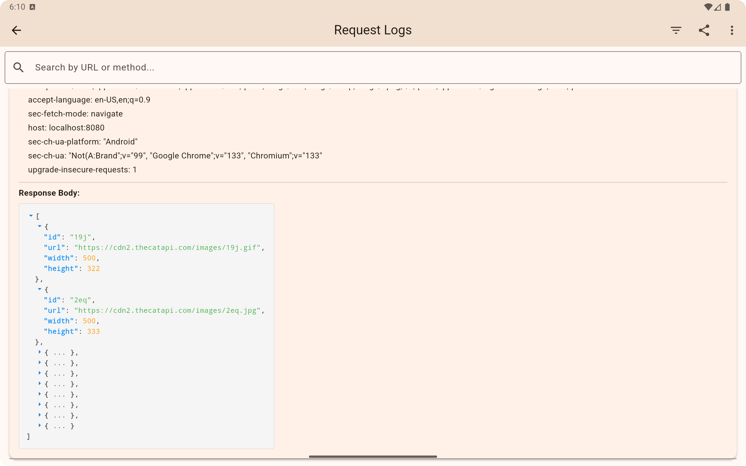 Request Logs with headers and formatted response body